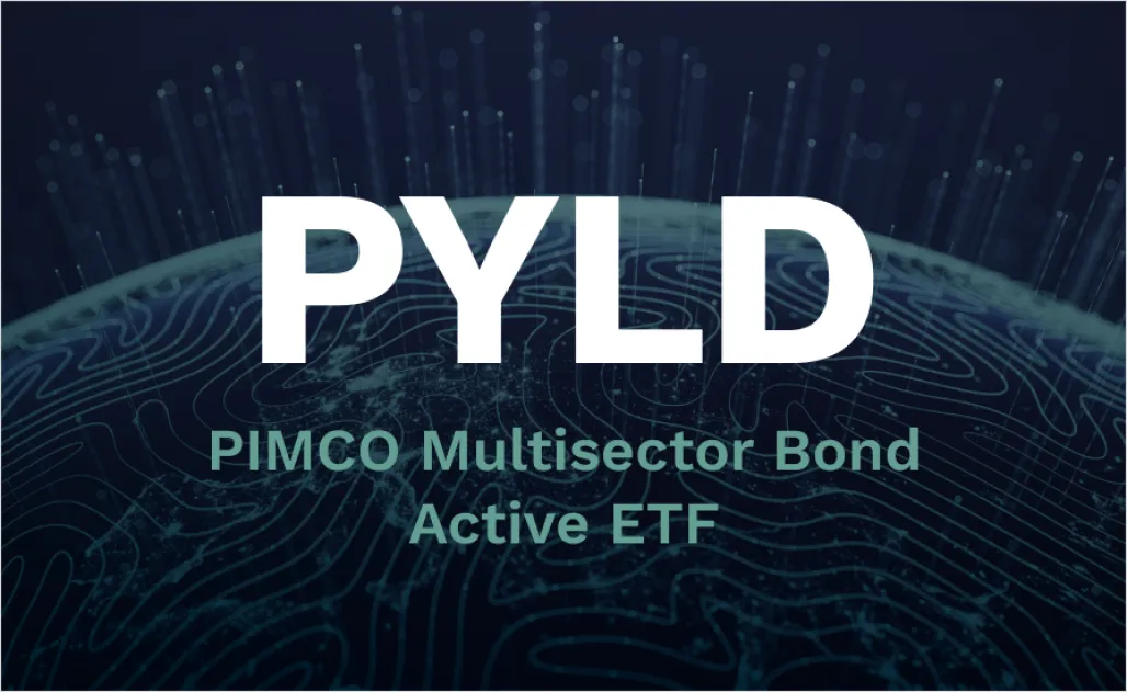 5 Best International Bond ETFs for 2025 PYLD