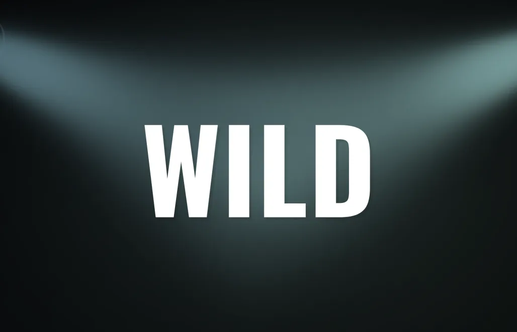 WILD WILD
