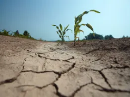 Summer ETF Launch Drought Lingers ETF Investing Tools