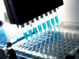 Biotech May Offer Compelling Value ETF Investing Tools