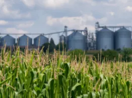 Why Commodities Have A Lot Of Runway ETF Investing Tools
