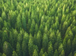Invesco Unveils Active Min Vol Low Carbon ETF In Europe ETF Investing Tools