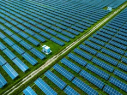 ESG Filings Stand Out Over Past Month ETF Investing Tools