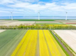 Invesco Bond ETF Turns ESG After Index Consultation ETF Investing Tools