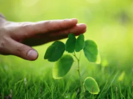 Thrivent Launches Its First ETF ETF Investing Tools
