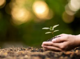 ETF Investing Tools