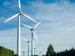 Do Pension Funds Seek Free Lunch When Investing in ESG ETFs? ETF Investing Tools
