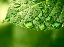 SEC Proposes New Rule To Address Greenwashing ETF Investing Tools