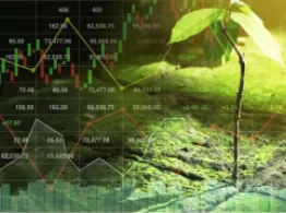 ETF Investing Tools