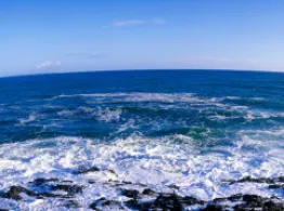 New ETF Targets Ocean Health ETF Investing Tools