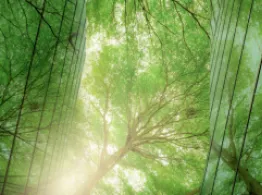 WisdomTree Tightens ESG Metrics Across Self-Indexing ETFs ETF Investing Tools