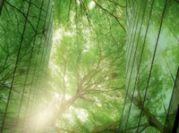 DWS Launches 3 Biodiversity ETFs in Europe ESG