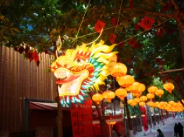 China ETFs Roar Back Ahead of Year of the Dragon Year of the Dragon - China - 2024