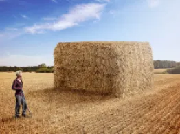 Giant Hay Bail - Stack - Investing Concept