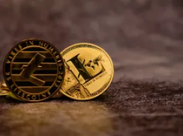 Key Filing Advances Canary’s Spot Litecoin ETF Proposal